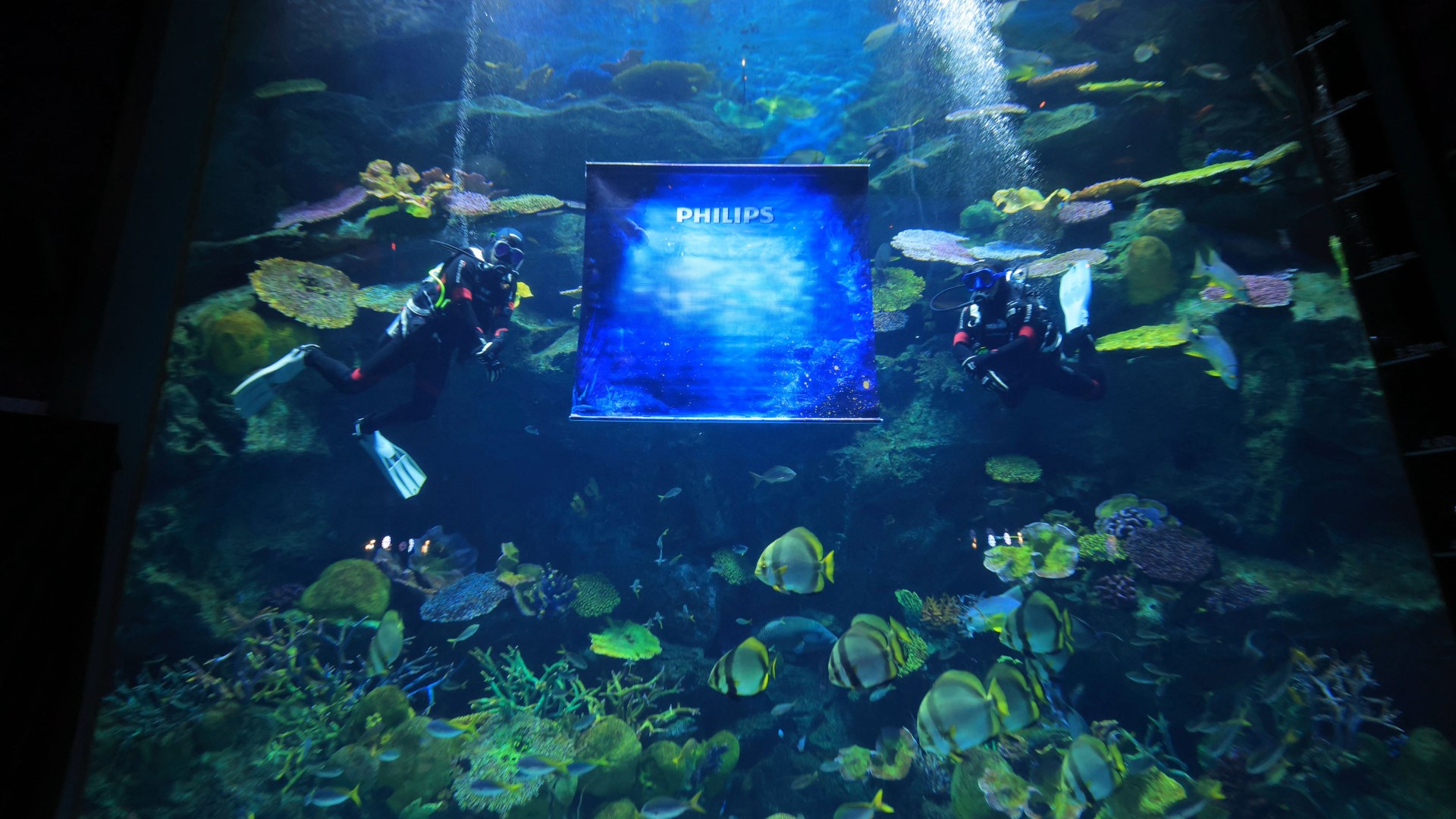 Bringing neurovascular care forward: Clinical voices from across Asia Pacific